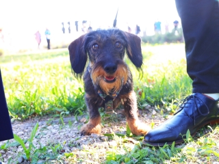 Richter Egészségváros (2025) - fotó: 