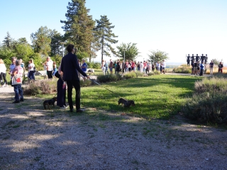 Richter Egészségváros (2025) - fotó: 