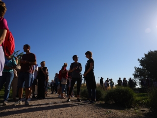 Richter Egészségváros (2025) - fotó: 