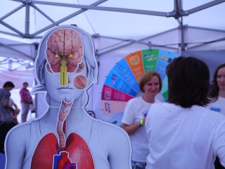 Richter Egészségváros (2025) - fotó: 