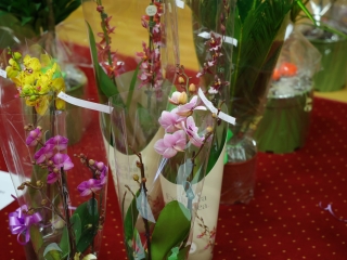 Virágos Dunaújvárosért (2025) - fotó: 