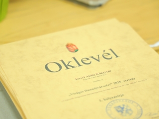 Virágos Dunaújvárosért (2025) - fotó: 