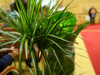 Virágos Dunaújvárosért (2025) - fotó: 