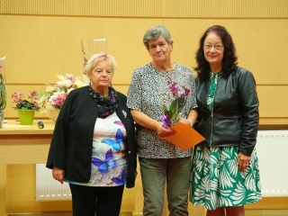 Virágos Dunaújvárosért (2025) - fotó: 