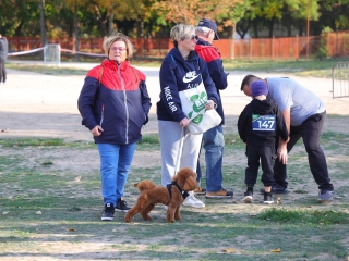 MOZD'ÚJVÁROS (2025) - fotó: 
