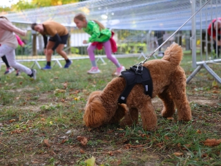 MOZD'ÚJVÁROS (2025) - fotó: 
