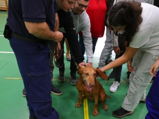 Dunaújvárosi Szakképzés Napja (2025) - fotó: 