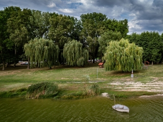 "Dunaújváros fái a négy évszakban" fotópályázat nyári ciklusa - fotó: 