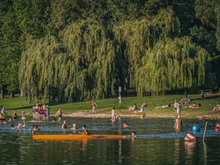 "Dunaújváros fái a négy évszakban" fotópályázat nyári ciklusa - fotó: 