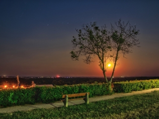 "Dunaújváros fái a négy évszakban" fotópályázat nyári ciklusa - fotó: 