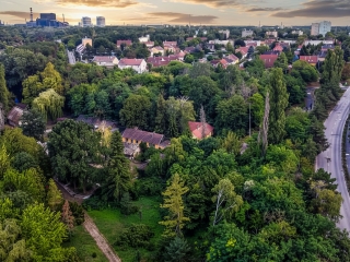 "Dunaújváros fái a négy évszakban" fotópályázat nyári ciklusa - fotó: 