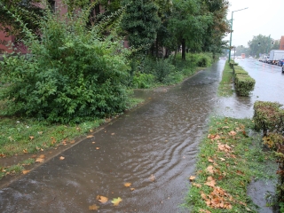 Égszakadás - fotó: Ónodi Zoltán