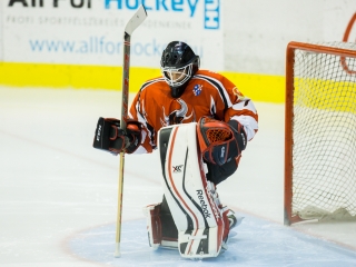 DAB-DHK edzőmérkőzés - fotó: Ónodi Zoltán