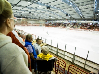 DAB-DHK edzőmérkőzés - fotó: Ónodi Zoltán