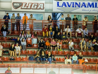 DAB-DHK edzőmérkőzés - fotó: Ónodi Zoltán