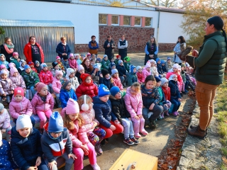 Ragadozó madarak az ovisok fölött - fotó: 