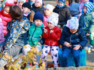 Ragadozó madarak az ovisok fölött - fotó: 