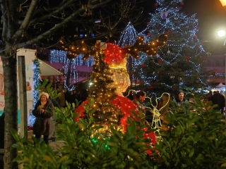 A remény fénye is fellobant  - fotó: 