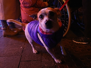 A remény fénye is fellobant  - fotó: 