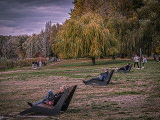 "Dunaújváros fái a négy évszakban" - őszi ciklus  - fotó: 