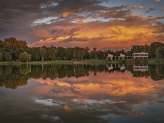 "Dunaújváros fái a négy évszakban" - őszi ciklus  - fotó: 