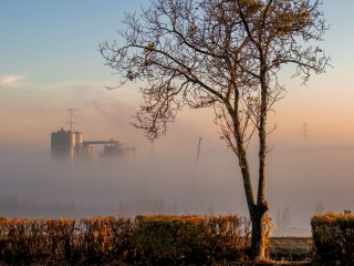 "Dunaújváros fái a négy évszakban" - őszi ciklus  - fotó: 
