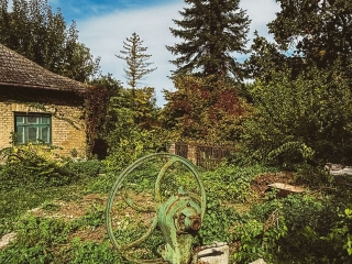 "Dunaújváros fái a négy évszakban" - őszi ciklus  - fotó: 