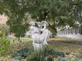 "Dunaújváros fái a négy évszakban" - őszi ciklus  - fotó: 