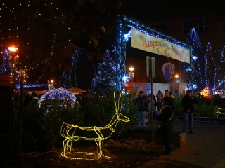 Az öröm rózsaszín gyertyája is fénylik (galéria) - fotó: 