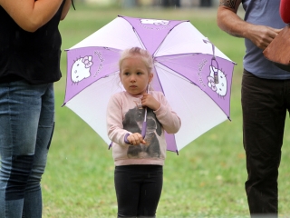 Augusztus 20. - fotó: Sándor Judit