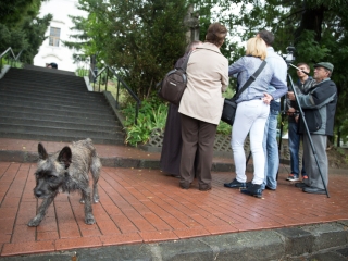 Böjte Csaba Dunaföldváron - fotó: Ónodi Zoltán