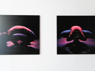 Art For Me - az első kiállítás megnyitója a KMI-ben - fotó: Ónodi Zoltán