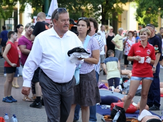 Újraélesztési Guiness-rekord - fotó: Sándor Judit