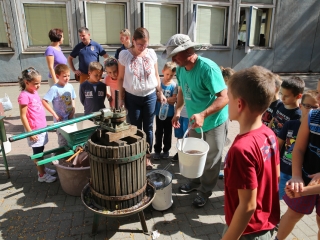 Szüret a Dózsa iskolában - fotó: Ónodi Zoltán