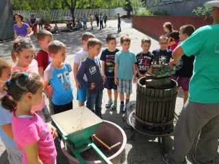 Szüret a Dózsa iskolában - fotó: Ónodi Zoltán