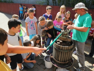 Szüret a Dózsa iskolában - fotó: Ónodi Zoltán