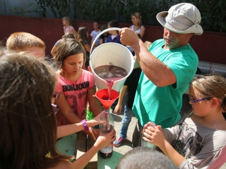 Szüret a Dózsa iskolában - fotó: Ónodi Zoltán