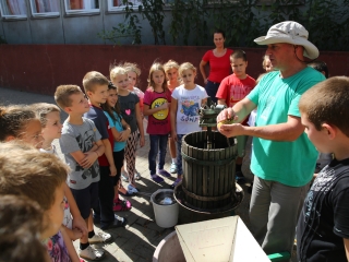 Szüret a Dózsa iskolában - fotó: Ónodi Zoltán
