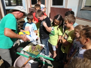 Szüret a Dózsa iskolában - fotó: Ónodi Zoltán