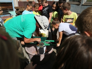 Szüret a Dózsa iskolában - fotó: Ónodi Zoltán