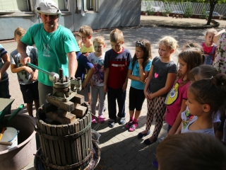 Szüret a Dózsa iskolában - fotó: Ónodi Zoltán