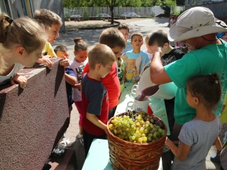Szüret a Dózsa iskolában - fotó: Ónodi Zoltán