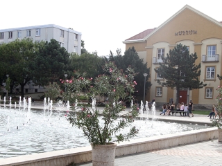 Városnézés Autómentesen - fotó: Sándor Judit