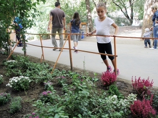 Családi nap a Móriczban - fotó: Sándor Judit