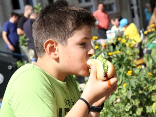 Családi nap a Móriczban - fotó: Sándor Judit