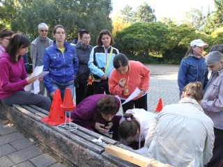 Autómentes nap a Ligetben - fotó: Ónodi Zoltán