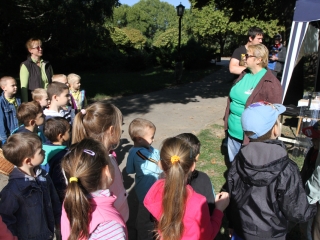 Autómentes nap a Ligetben - fotó: Ónodi Zoltán