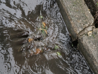 Égszakadás Dunaújvárosban - fotó: Sándor Judit