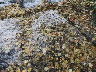 Égszakadás Dunaújvárosban - fotó: Sándor Judit