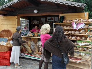 Élet-Stílus - egy nap a sportról és egészségről a Városháza téren - fotó: Sándor Judit